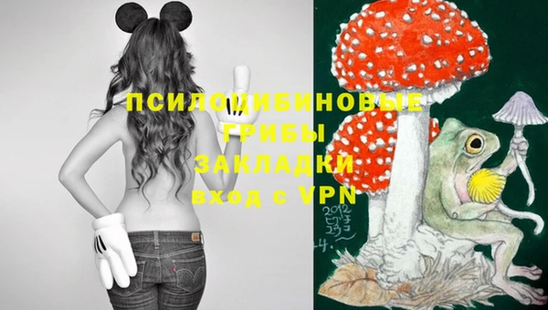 марки lsd Нефтекумск