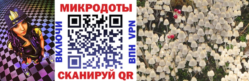 закладка  Элиста  Галлюциногенные грибы Magic Shrooms 