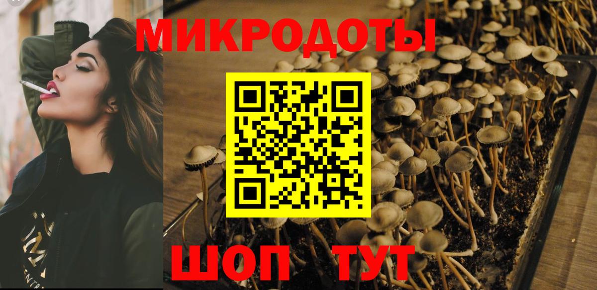 Галлюциногенные грибы мухоморы Элиста